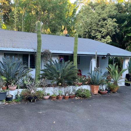 Ancient Gardens Guesthouse & Botanical Gardens Eudlo Exterior foto
