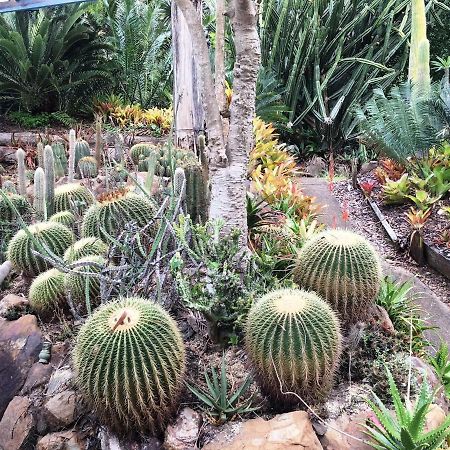 Ancient Gardens Guesthouse & Botanical Gardens Eudlo Exterior foto