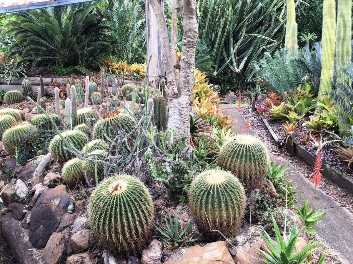 Ancient Gardens Guesthouse & Botanical Gardens Eudlo Exterior foto